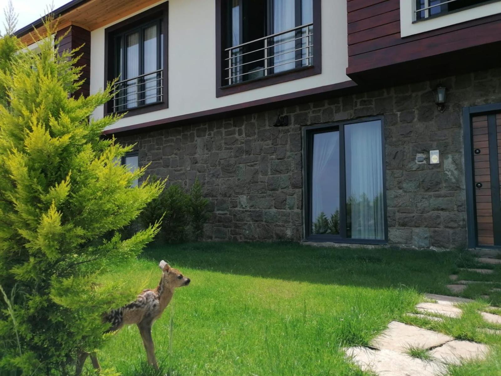 Royal Villa Trabzon Exterior foto